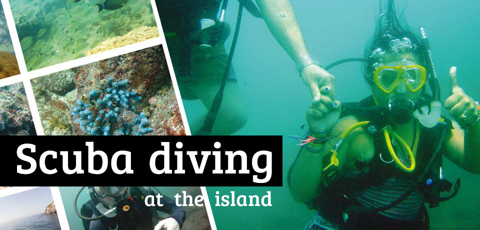 Scuba diving at the Island - Xtreme Panama